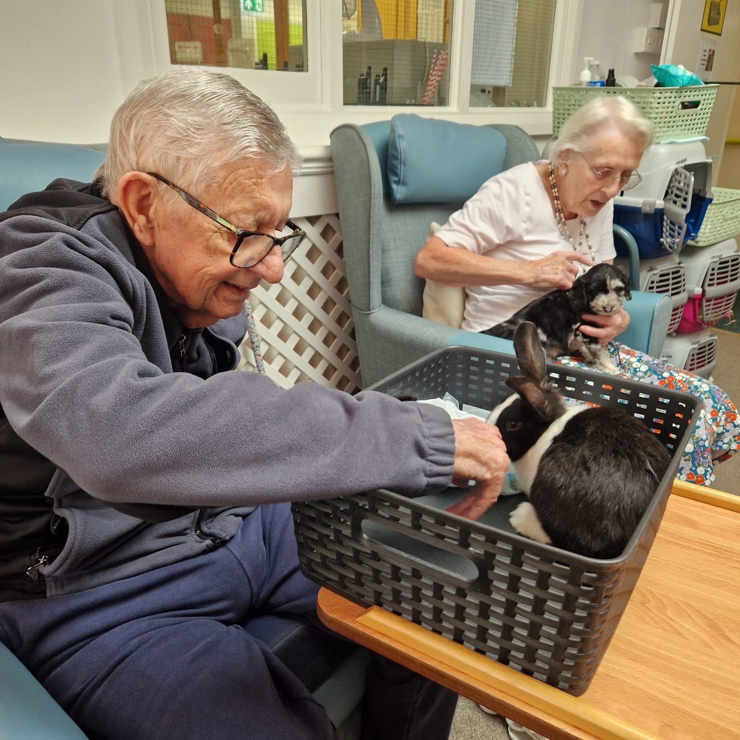 Older lady in wheelchari watering plants in a flowebed