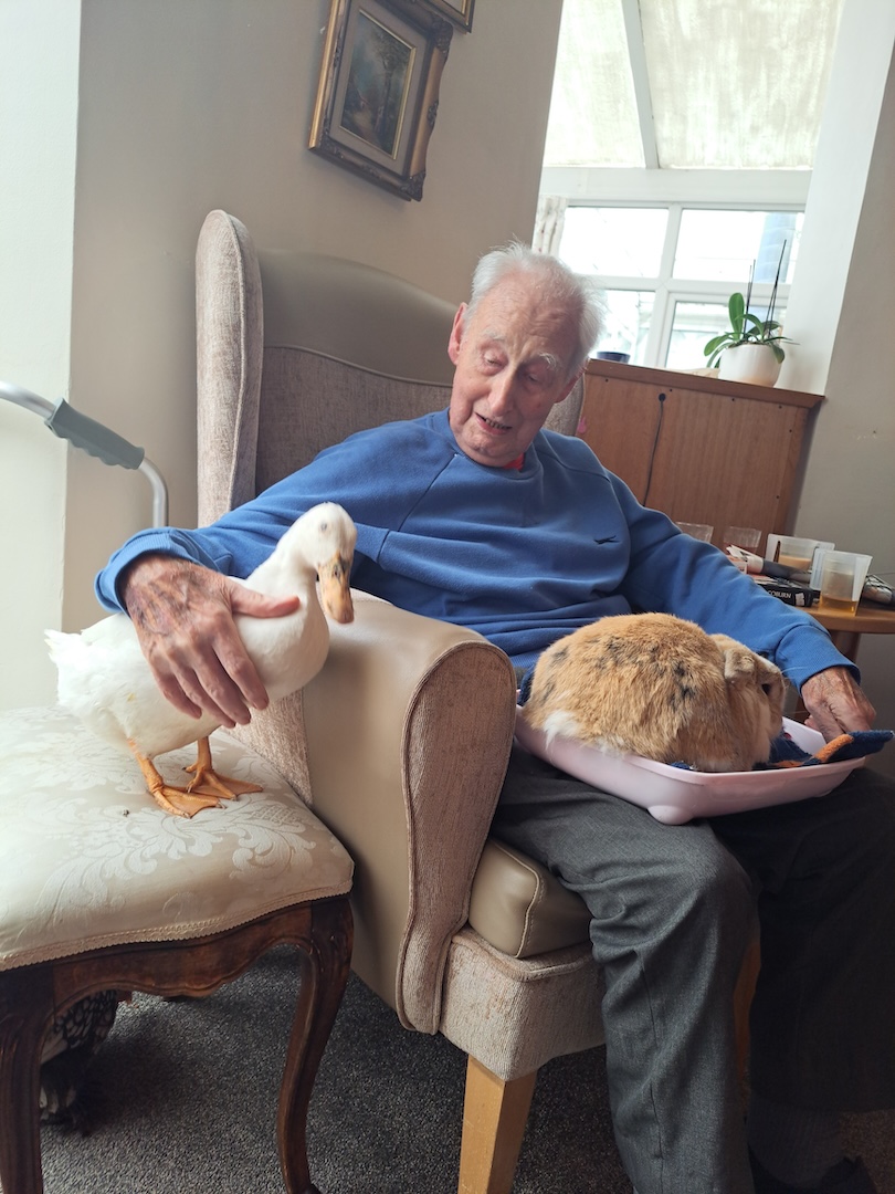 Older gentleman sat with a rabbit and a duck