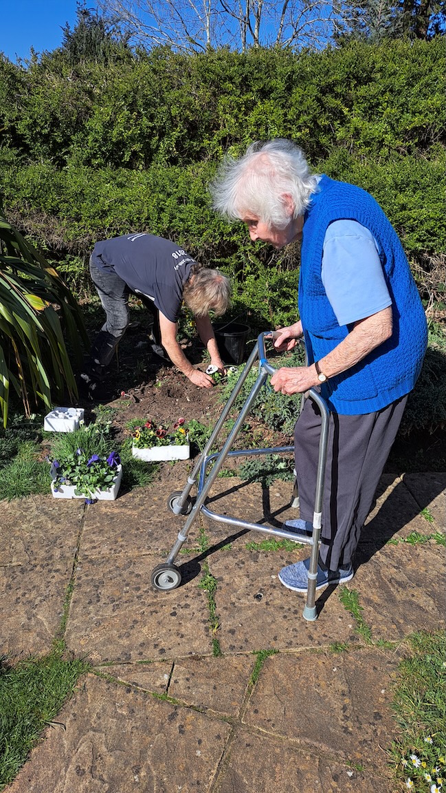 An elderly lady with a zimmer frame helping to plant flowers in the garden