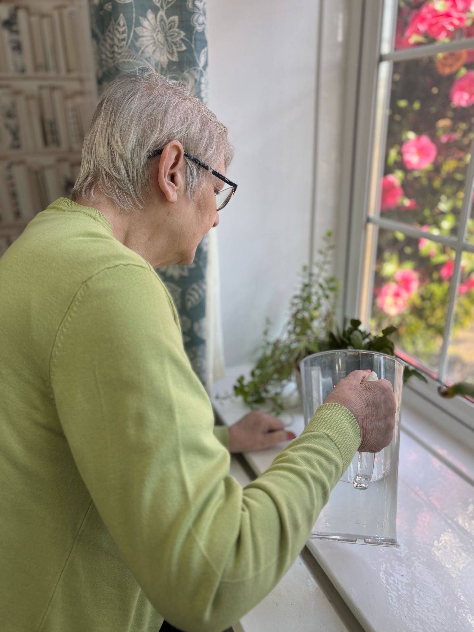 A lady watering a house plant