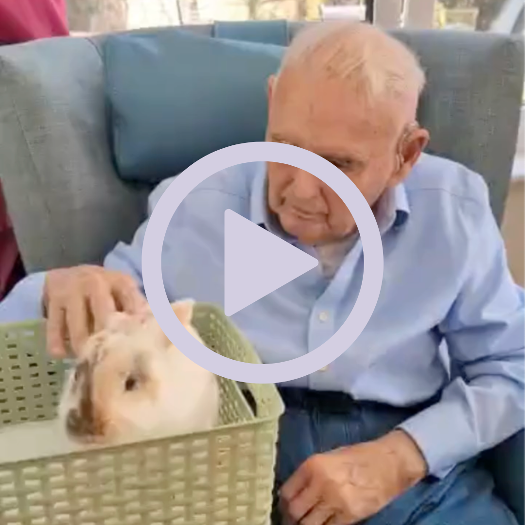 An older gentleman petting a rabbit