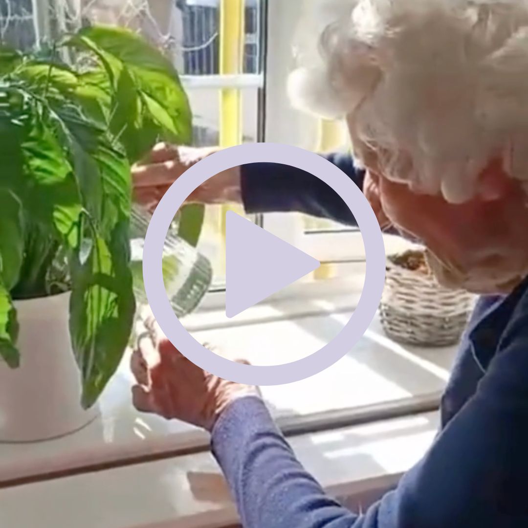 An older woman watering indoor plants