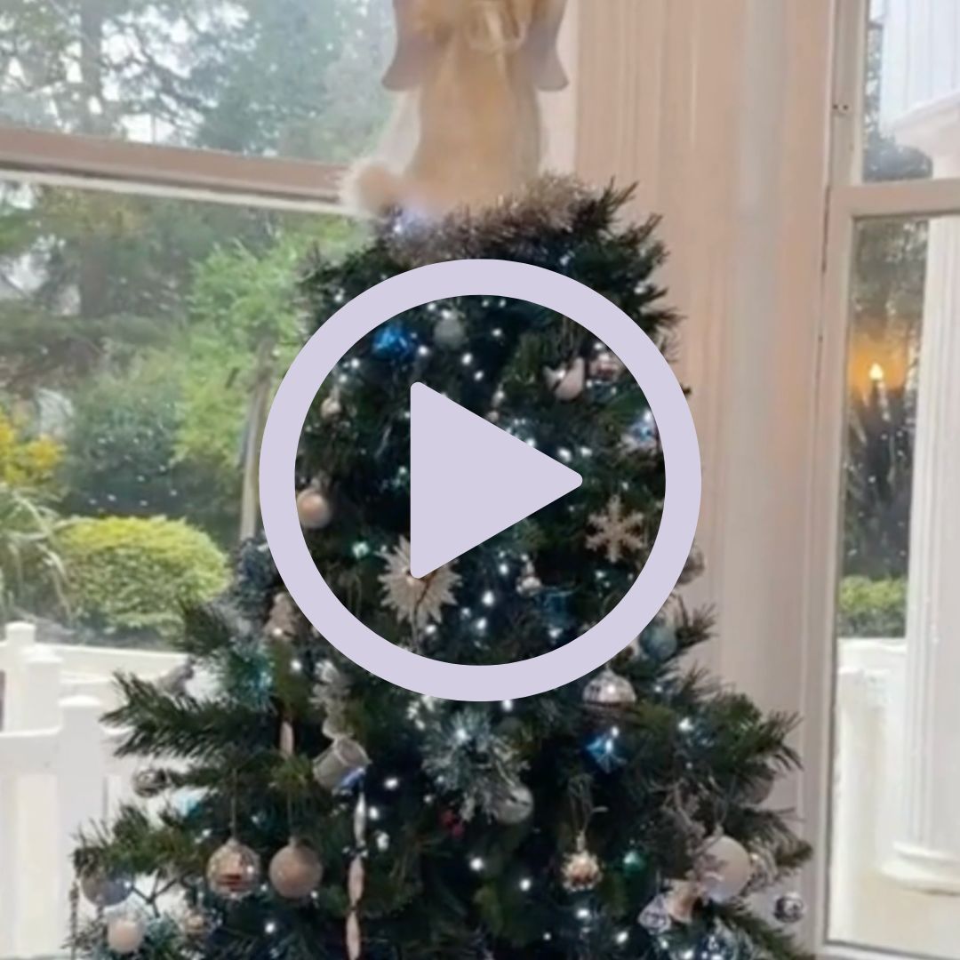 A Christmas tree with decorations