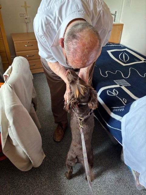 An elderly gentleman bending down to pet a dog