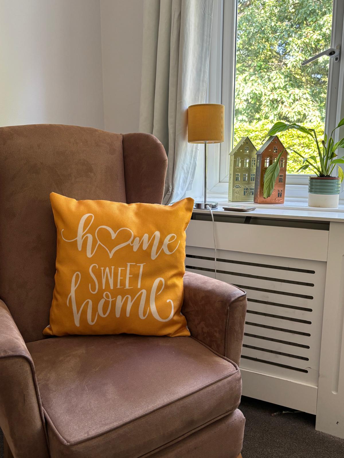 A comfortable chair with a cusion