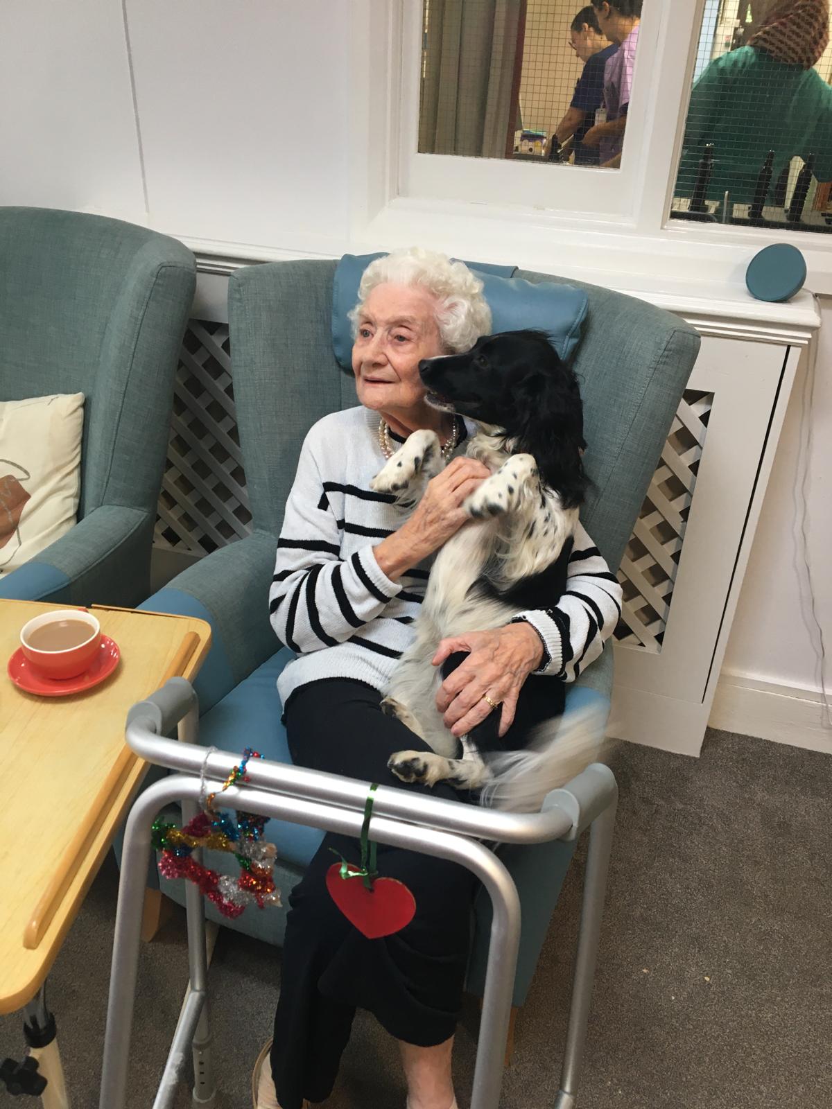 Elderly woman sat on a chair cuddling a dog with a walking frame in front of her