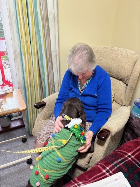 An older woman cuddling a dog in a Christmas jumper 