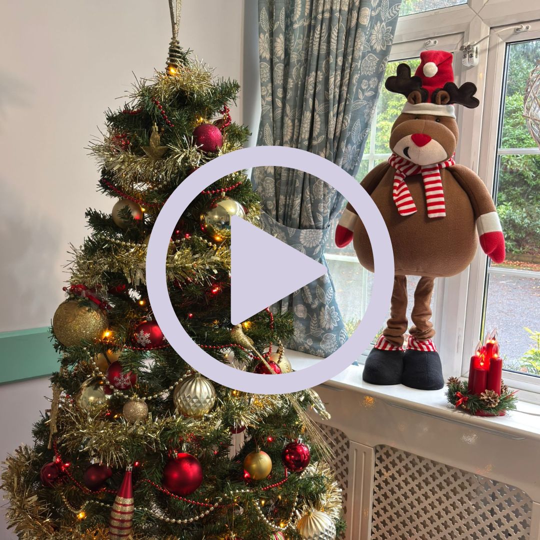 A Christmas tree and Christmas decorations