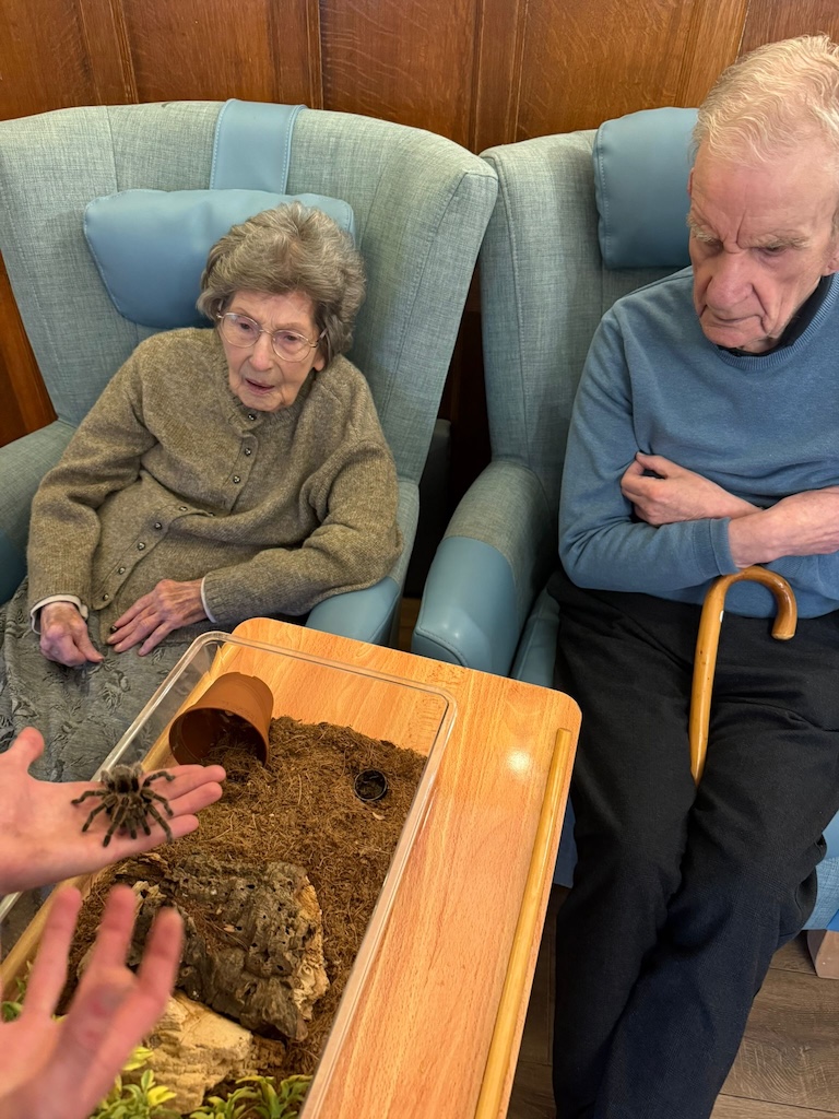And elderly man and woman being shown a tarantula