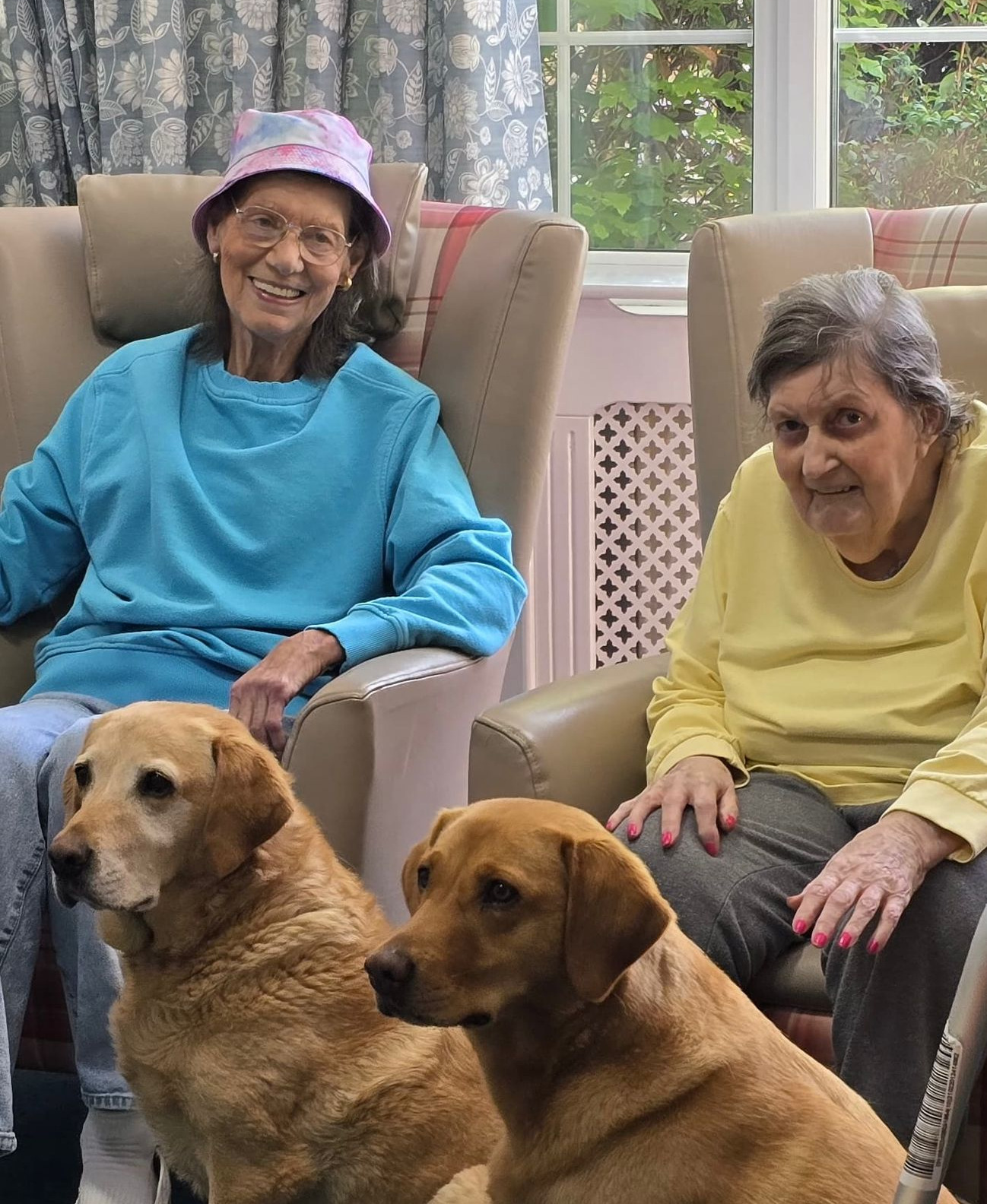 Two older women sat in armchairs with two dogs sat in front of them