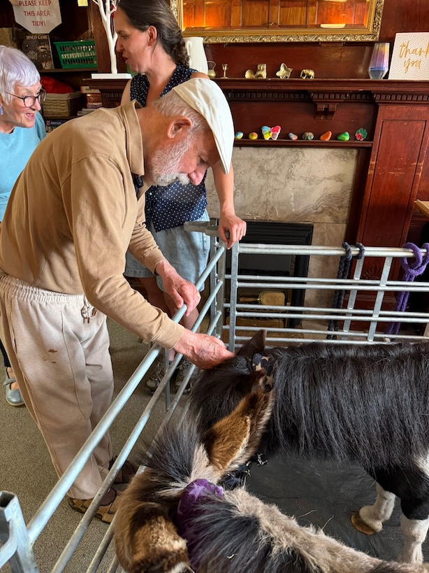 An older gentleman petting a donkey