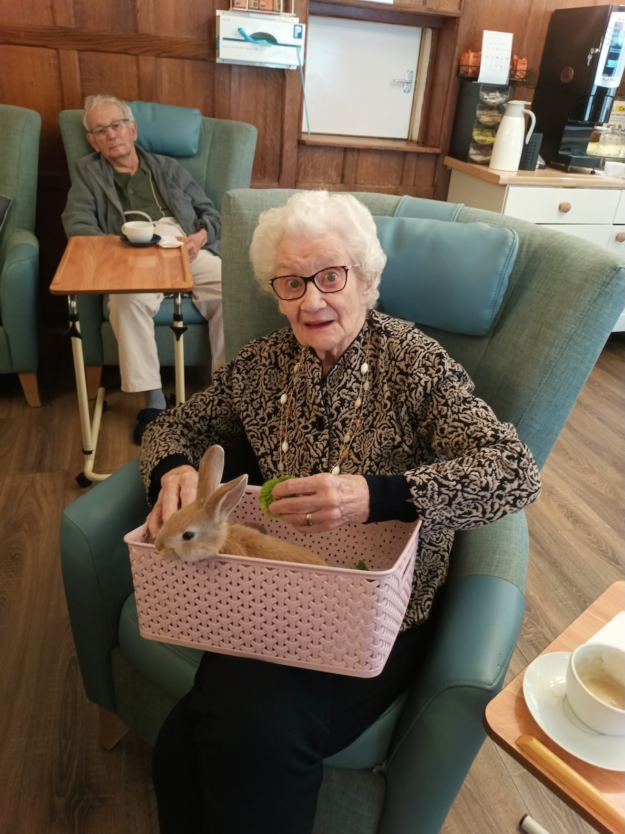 An older woman sat on a chair with a rabbit in a basket