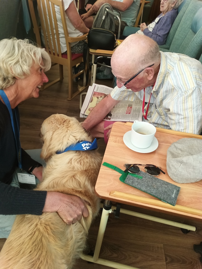 An older gentleman petting a dog