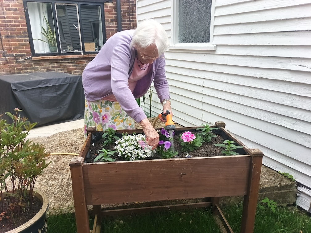 An older woman watering flowers in a raised flower bed