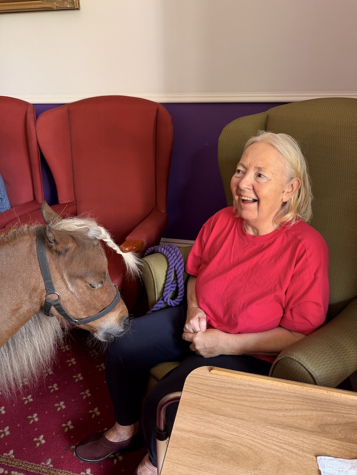 An older woman smiling with a miniature horse