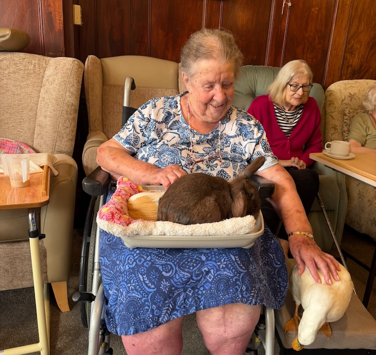 An older woman sat with a rabbit on her lap and a duck next to her