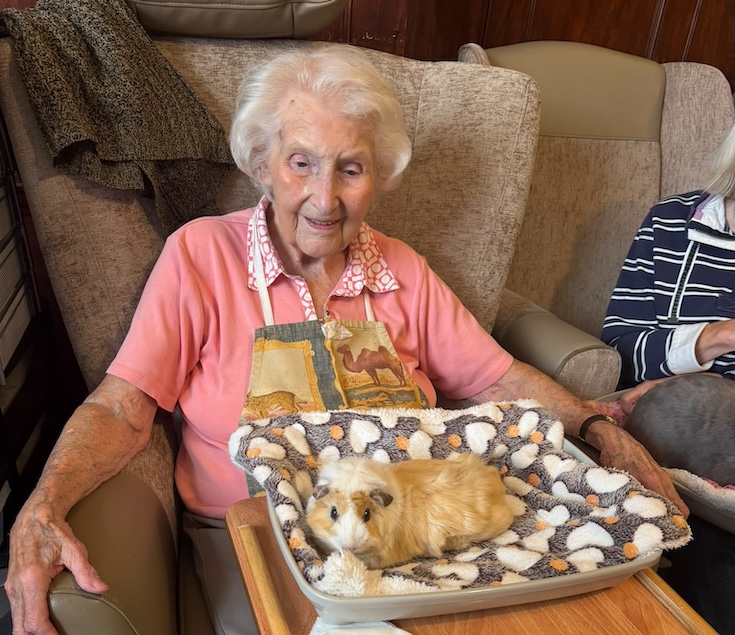 An older woman sat with a guinea pig