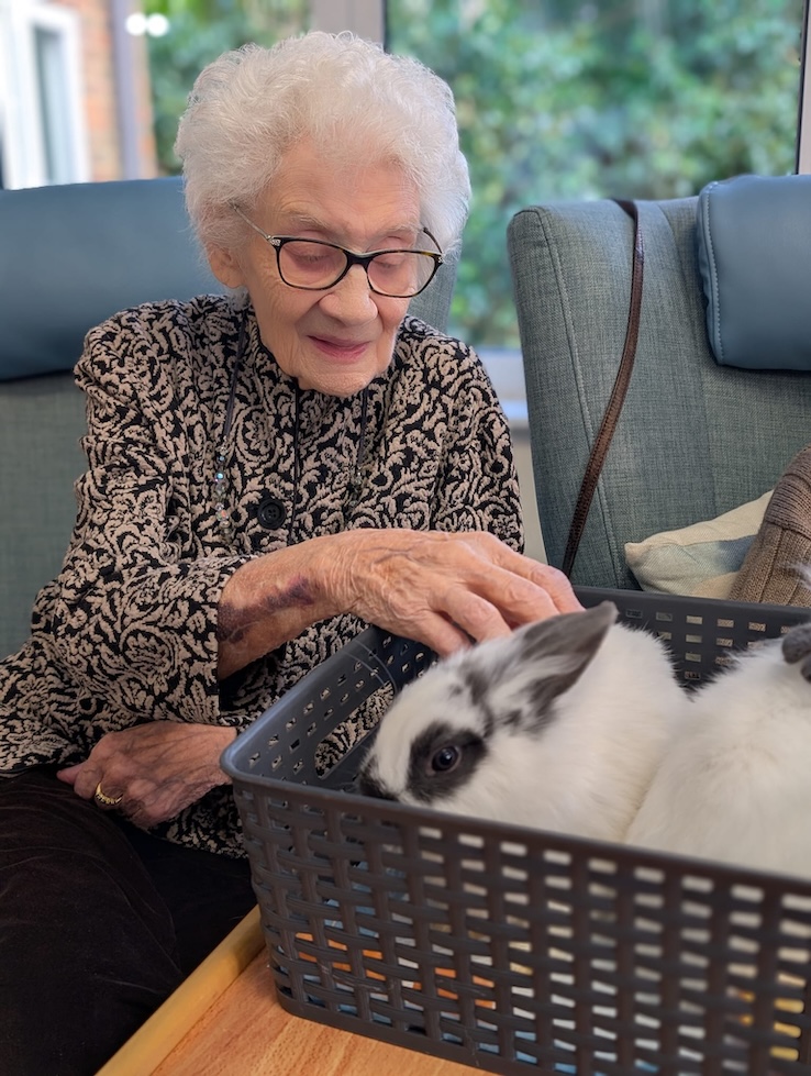 Smiling elderly woman petting a white and black rabbit in a basket
