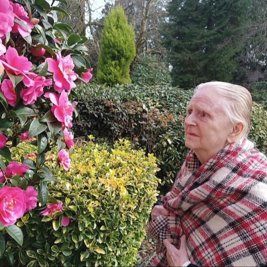 An elderly lady looking at some pink flowers on a bush