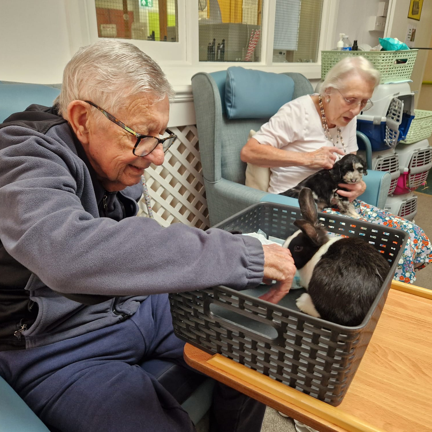 Residents taking part in an animal therapy session