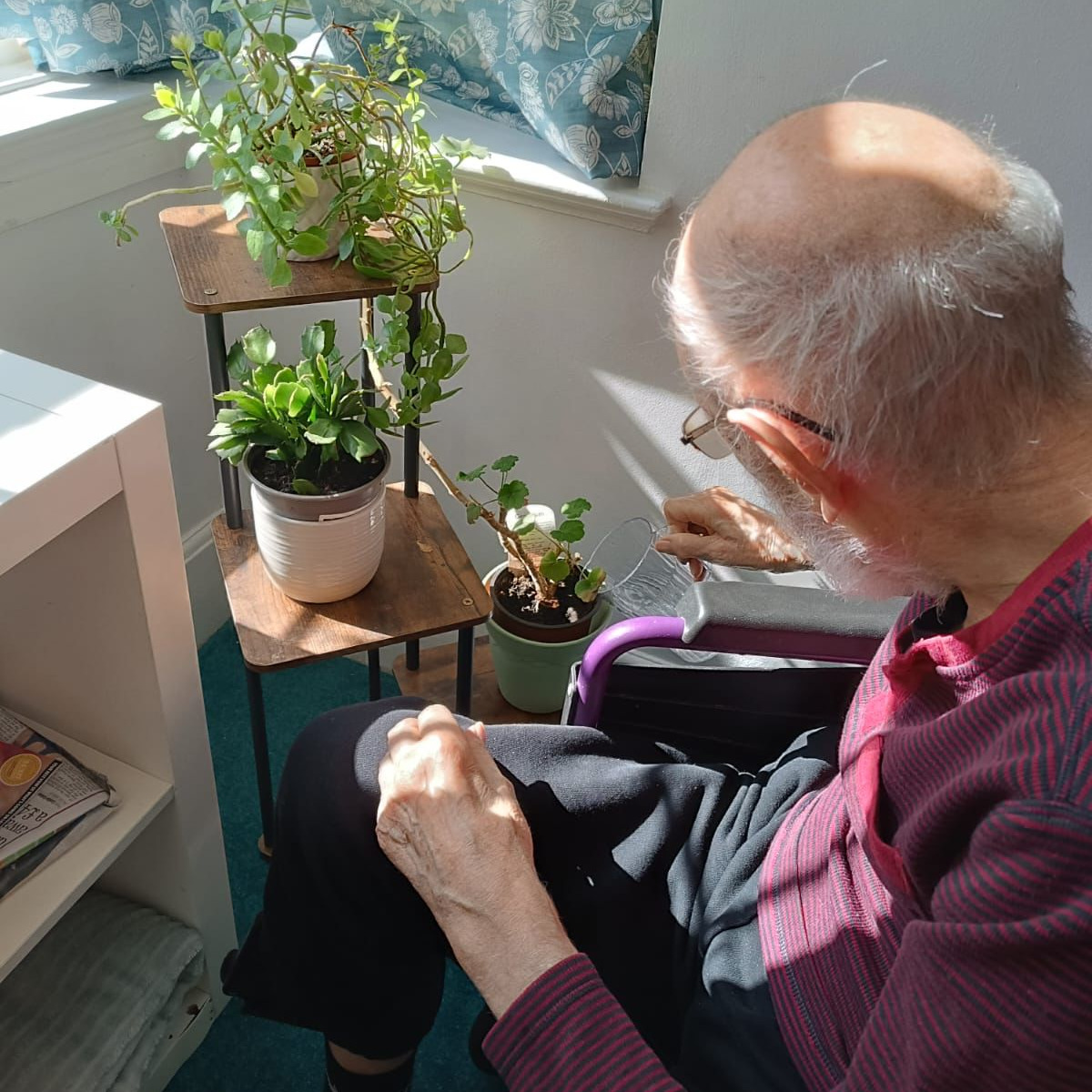 An elderly man watering house plants