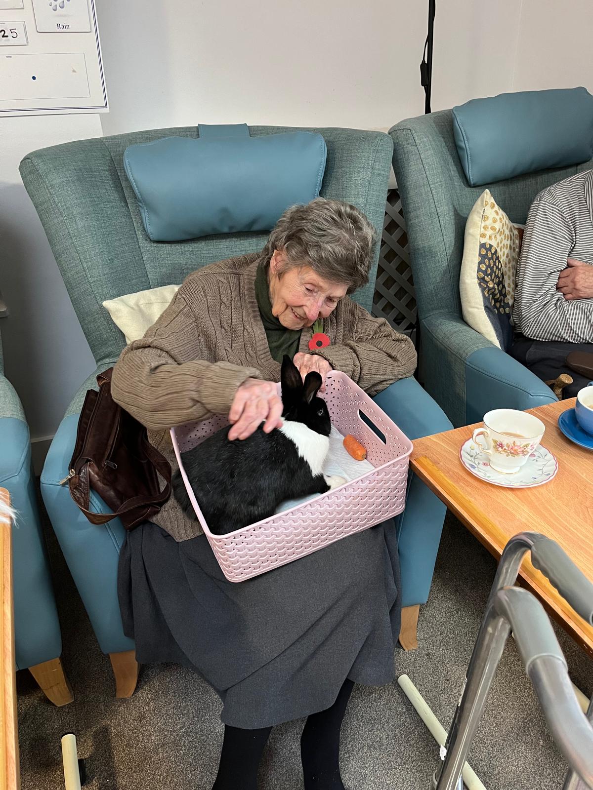 An older woman sat on an armchair with a rabbit in a basket on her lap