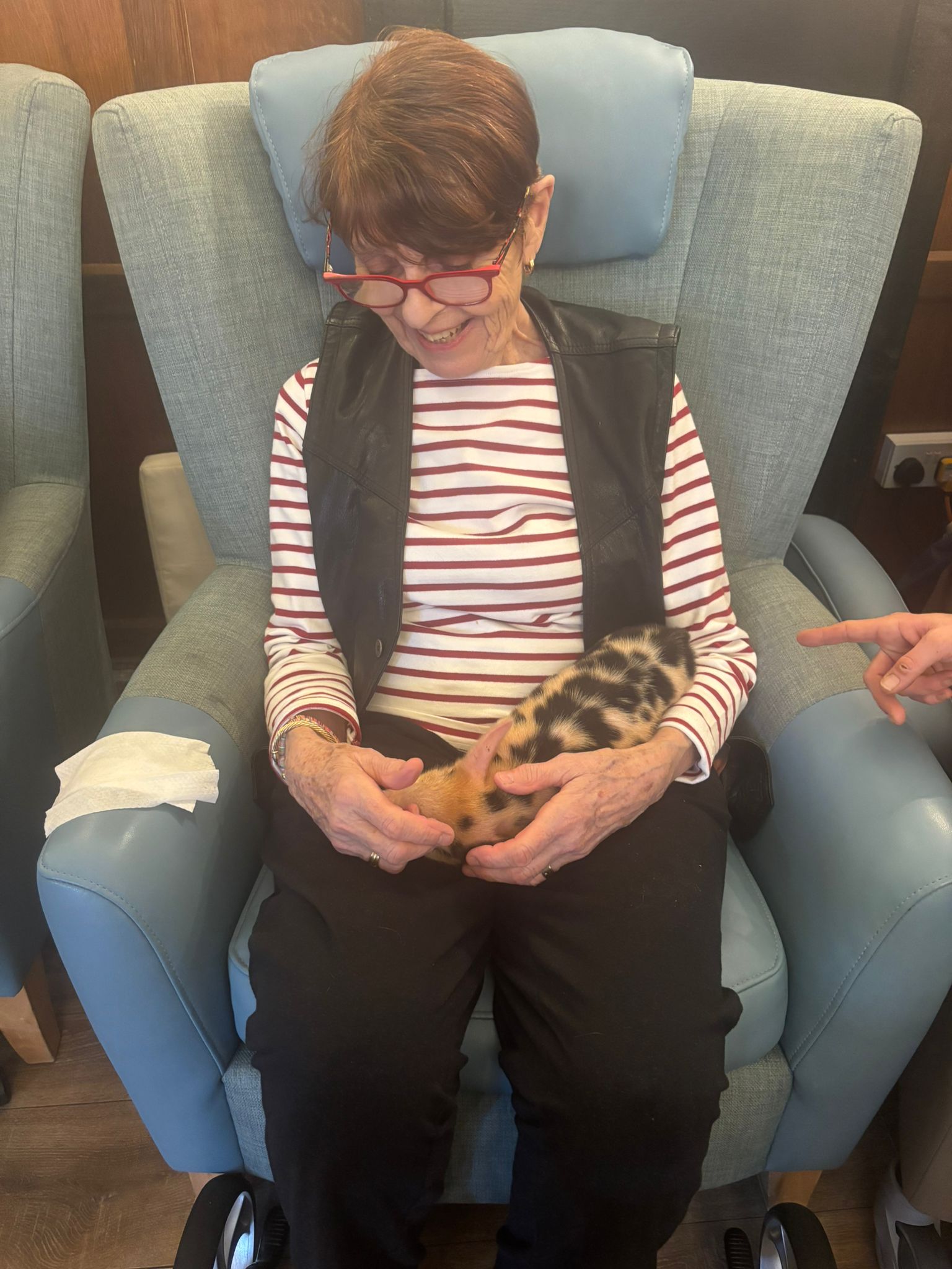An older woman sat in an armchair with a piglet on her lap