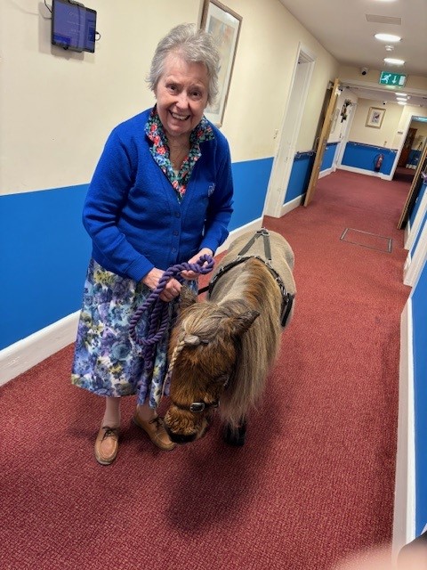 An older woman walking down a corridor with a miniature horse