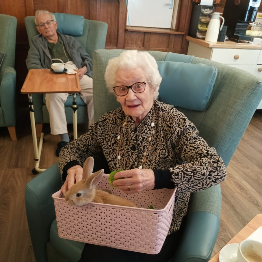 An older woman sat on a chair with a bunny in a basket on her lap