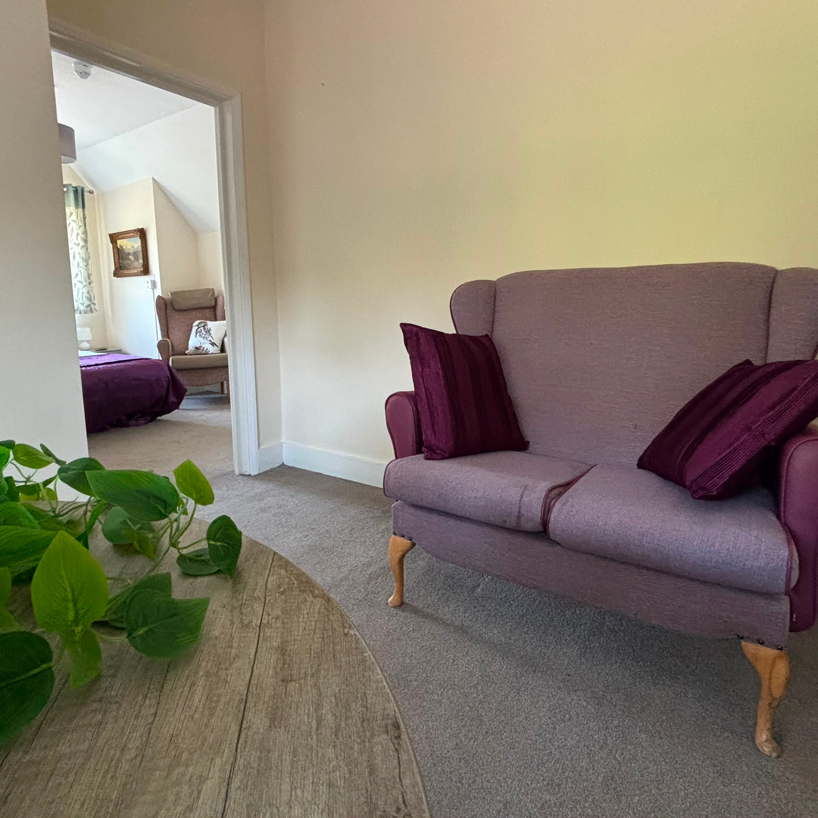 A comfortable purple sofa in a bright and spacious room