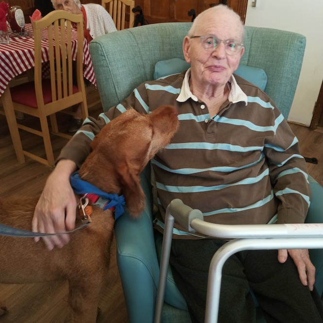 An older gentleman sat in an armchair with his arm around a dog