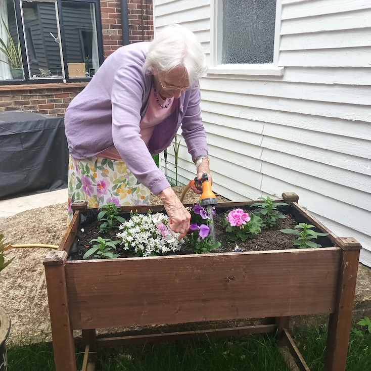 An older woman watering plants in a flower bed