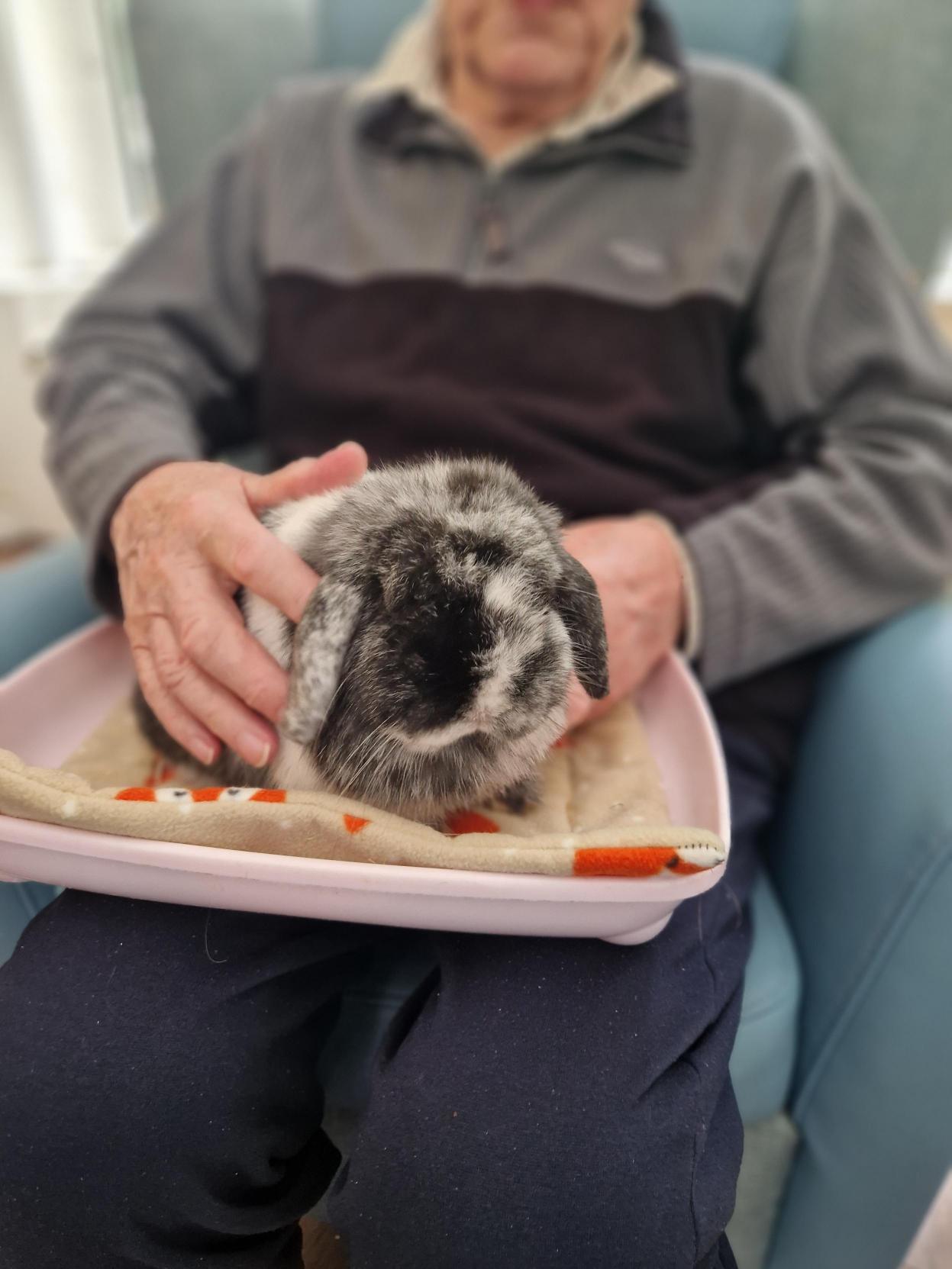 A man with a cute rabbit on his lap
