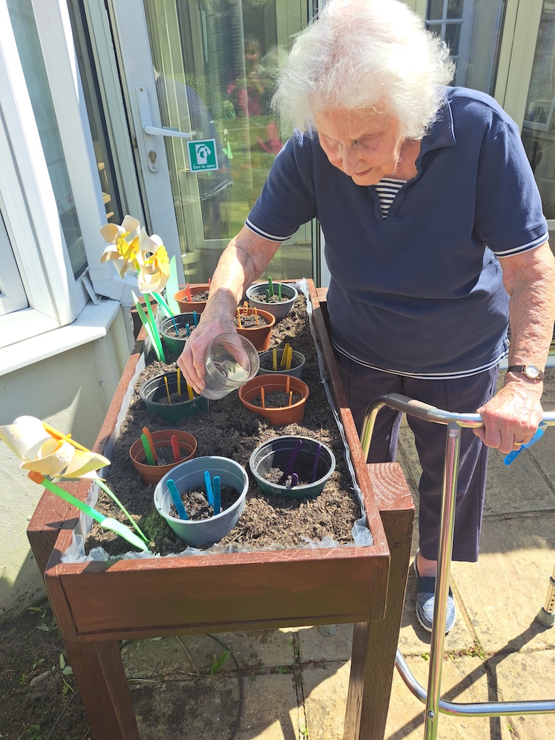 An elderly lady watering plants