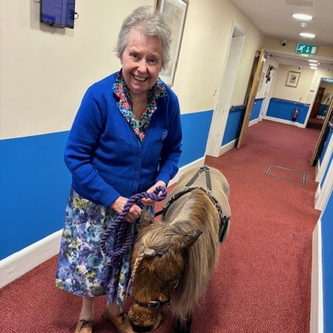 An older woman stood holding the reins of a miniature horse